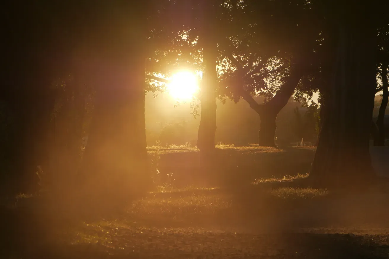 Secrets to Ease Headaches