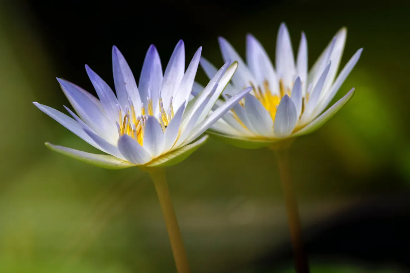 Secrets to Personal Growth